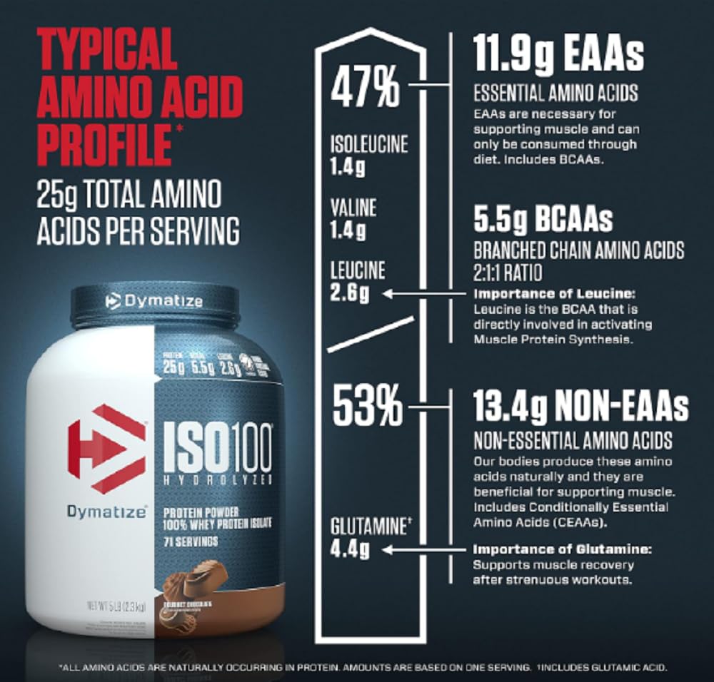 Dymatize ISO 100 Whey Protein Isolate - Protein world