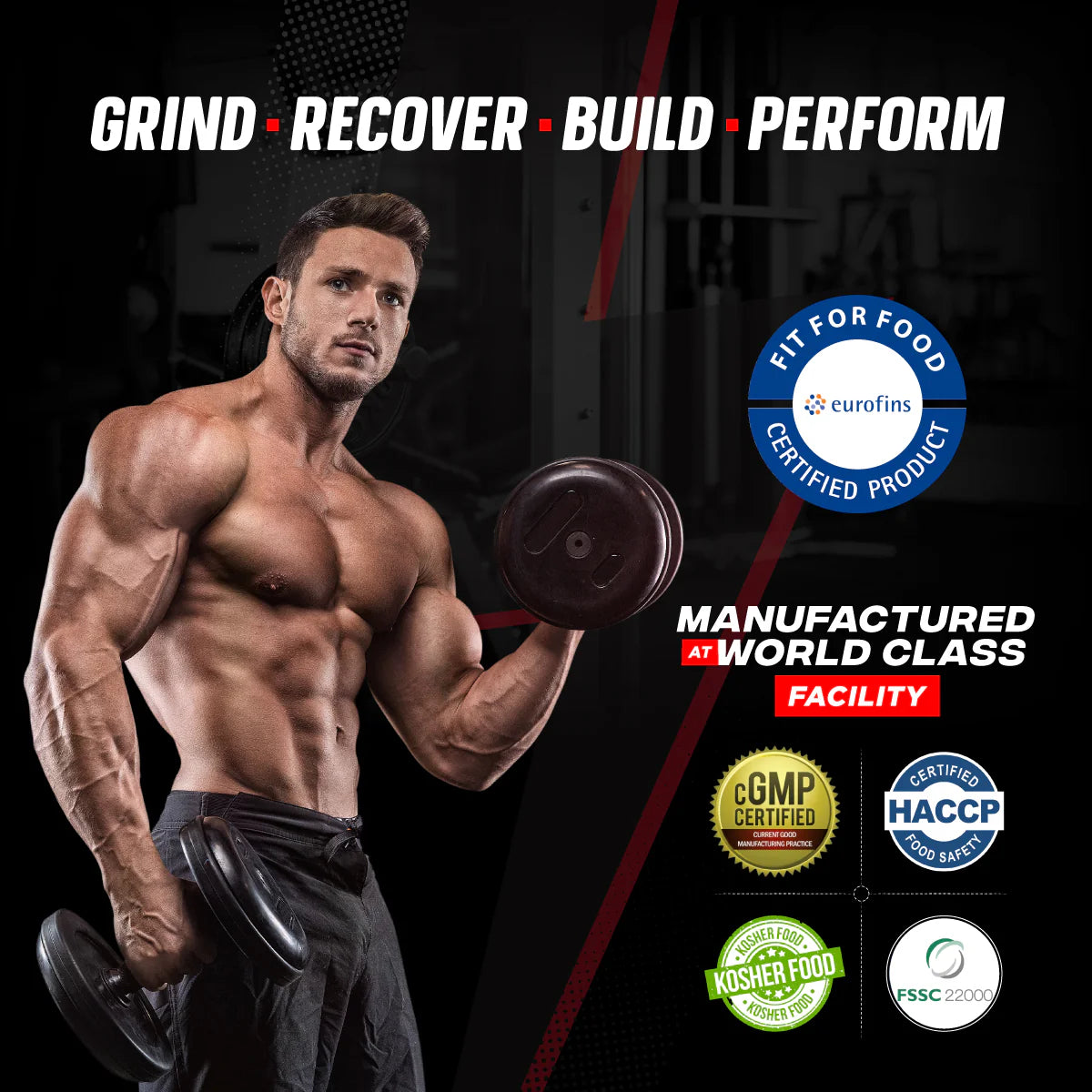 Big Muscles Nutrition Nitra Edge - Protein world
