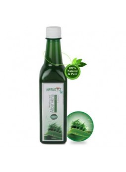 Naturyz Wheatgrass Aloevera Juice, 0.500 L