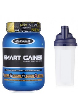Big Muscle Smart Gainer Chocolate 1 kg