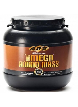 ANS Mega Amino Mass 2 kg